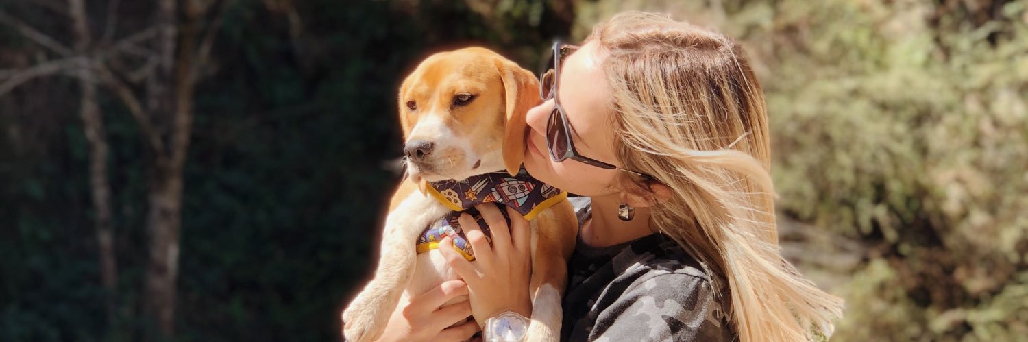 LazoAna2's profile banner image