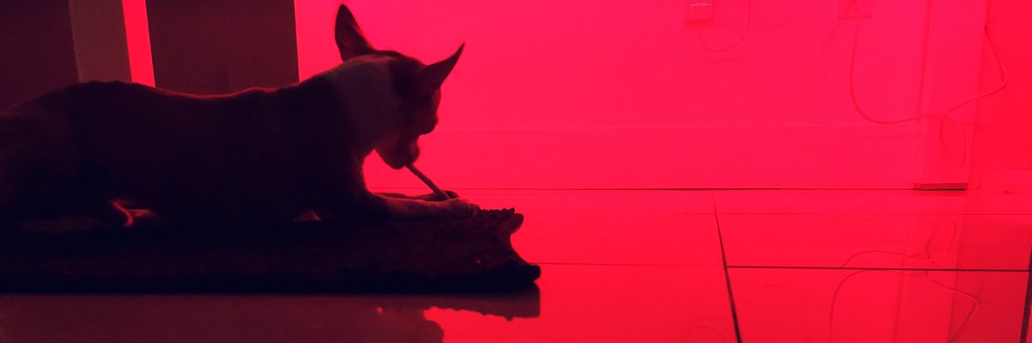 _vrose_'s profile banner image
