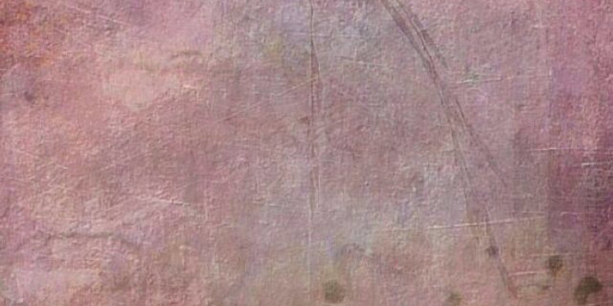 EviRF's profile banner image