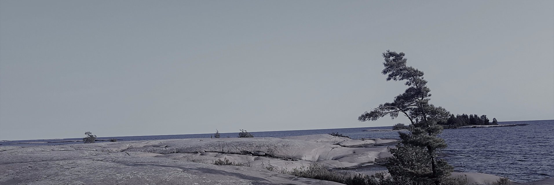 ShannonRyan's profile banner image