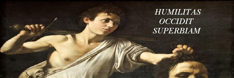 Davide Baccarini banner