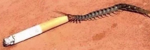 michaeelwave Profile Banner