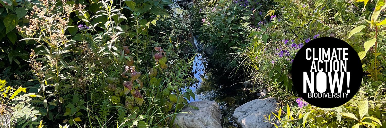 🌿Climate Action NOW—Biodiversity🌺🦋🐝🐞 banner