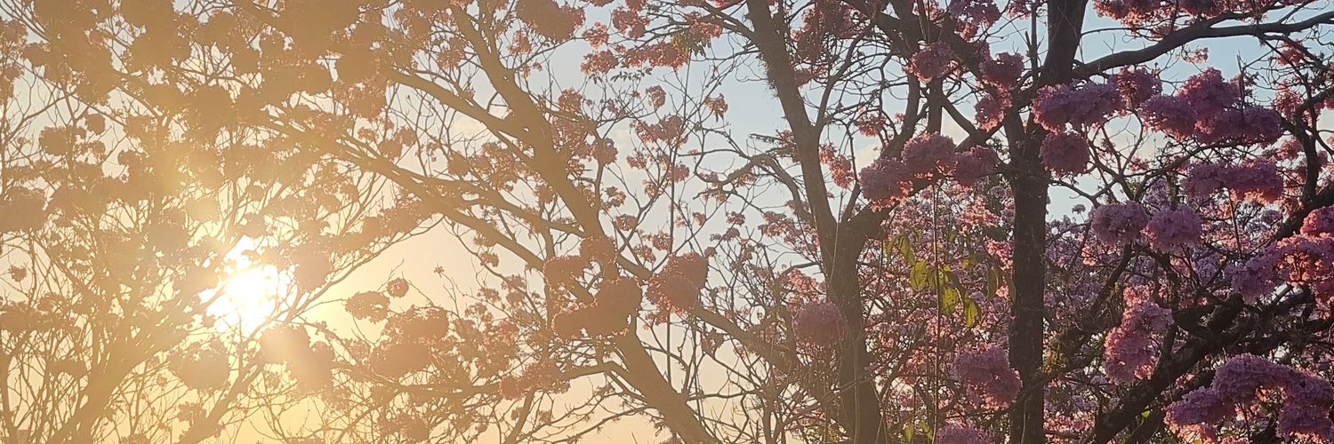 mebookRPstan's profile banner image