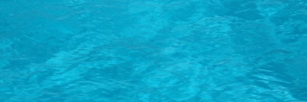 Rodolfo Galdamez banner
