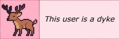 rosarina🌹🏳️‍⚧️ banner