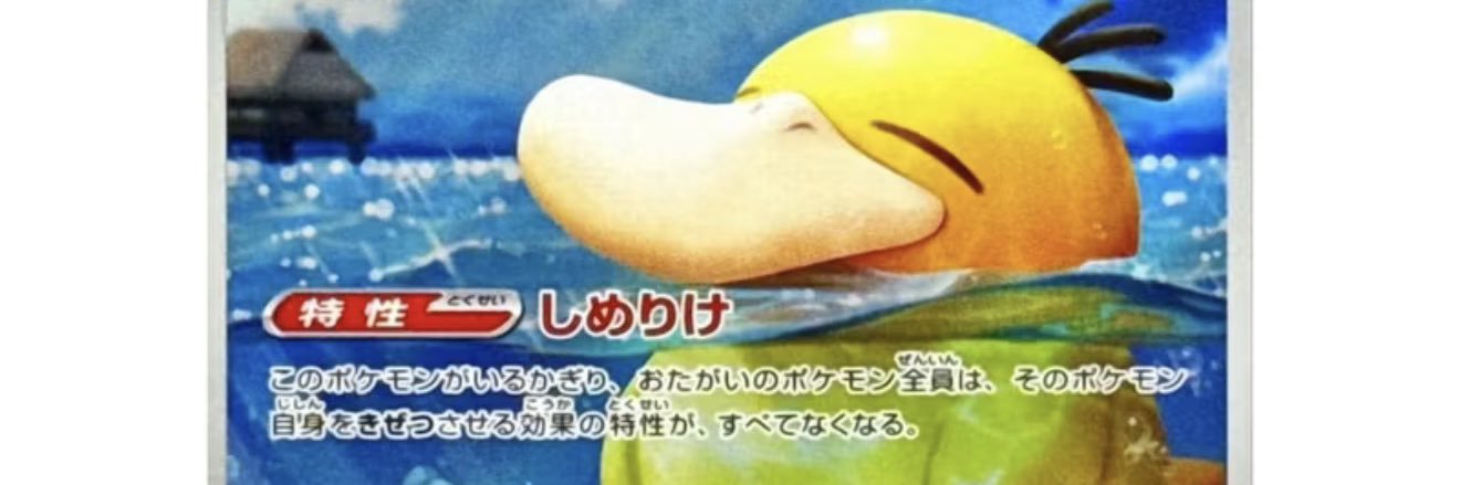 PsyDuck banner