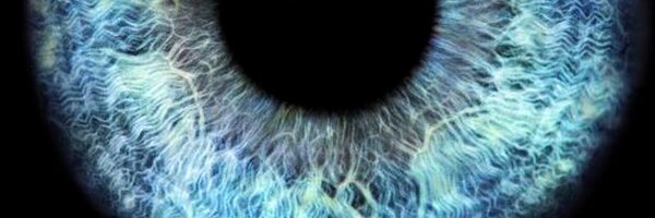 BMMarketer Profile Banner