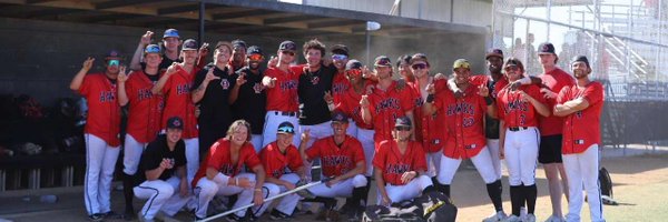 LouisFlixAnder2 Profile Banner