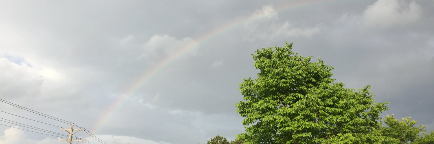 tedbigham's profile banner image