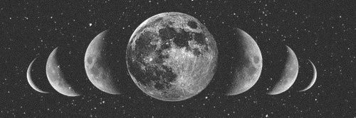 MacarenaFest's profile banner image