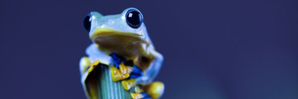 unepwcmc Profile Banner