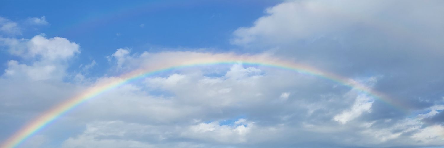siro9ro37's profile banner image