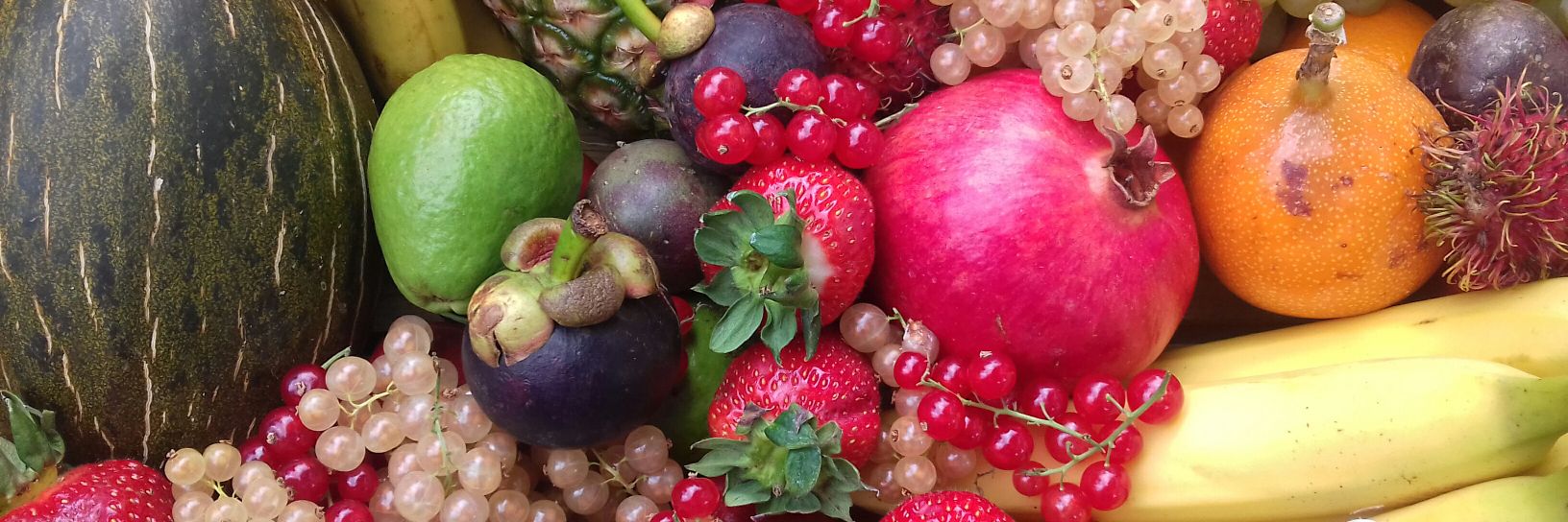 Madie Ager-Warner banner