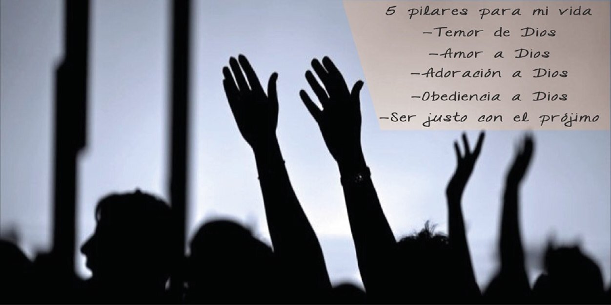 AlientoVida's profile banner image