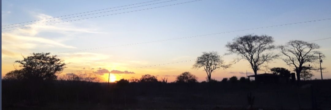 leosilva_js's profile banner image