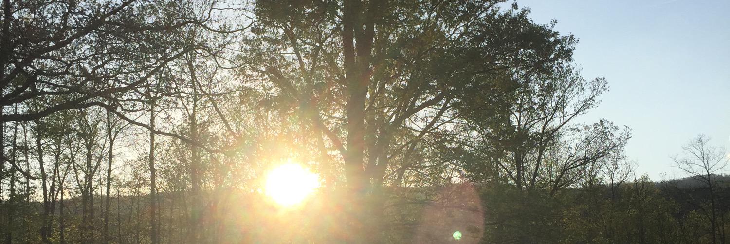 Pittyrunner99's profile banner image