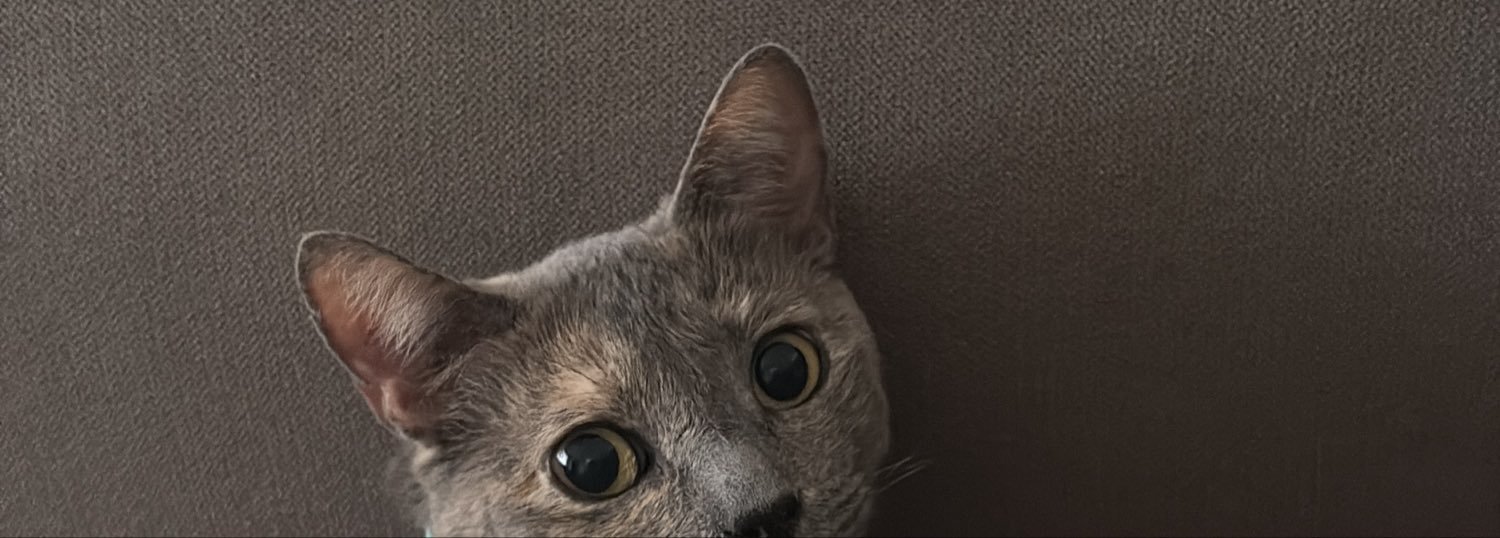 samanthamendeza's profile banner image