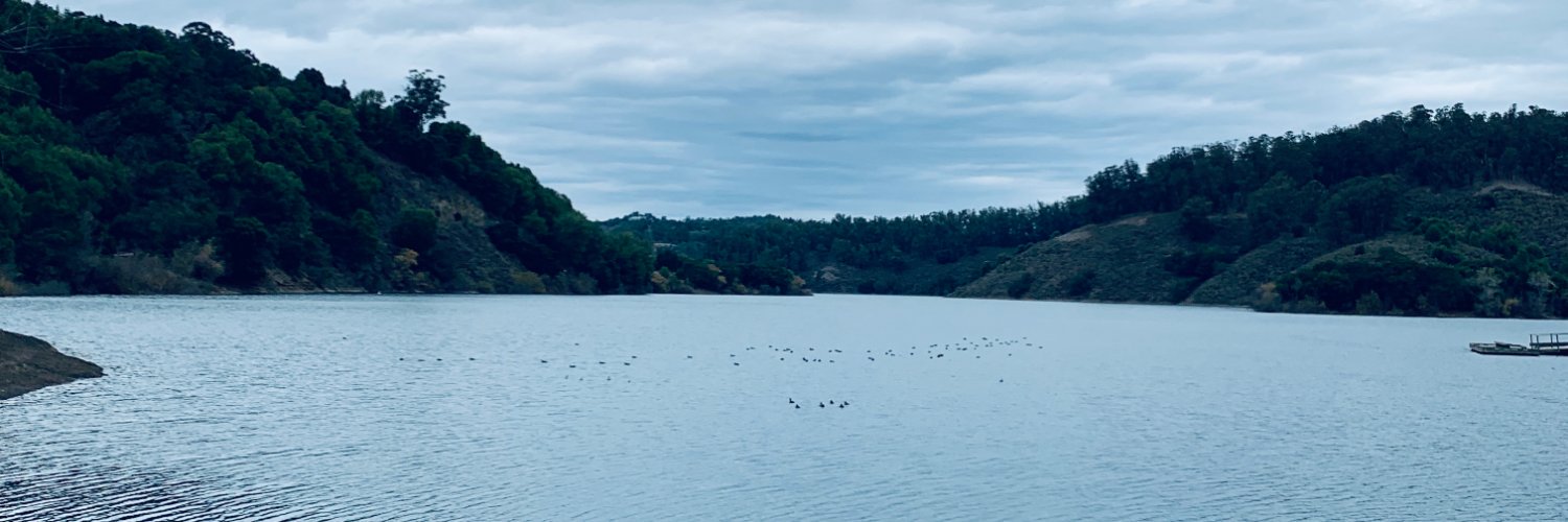 macraehenderson's profile banner image