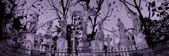Morado1313's profile banner image