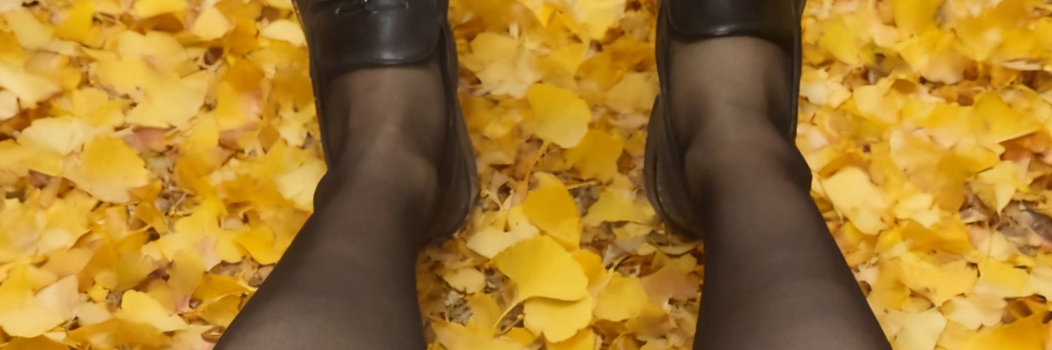 sdyddd's profile banner image
