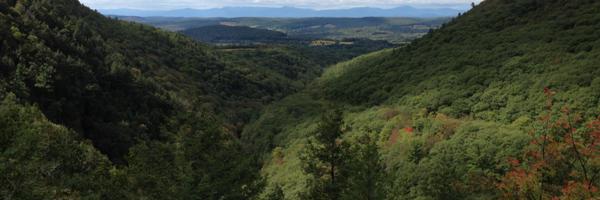 SeanBCash Profile Banner