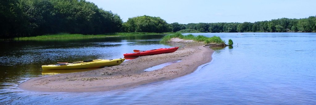Michelle Darst banner