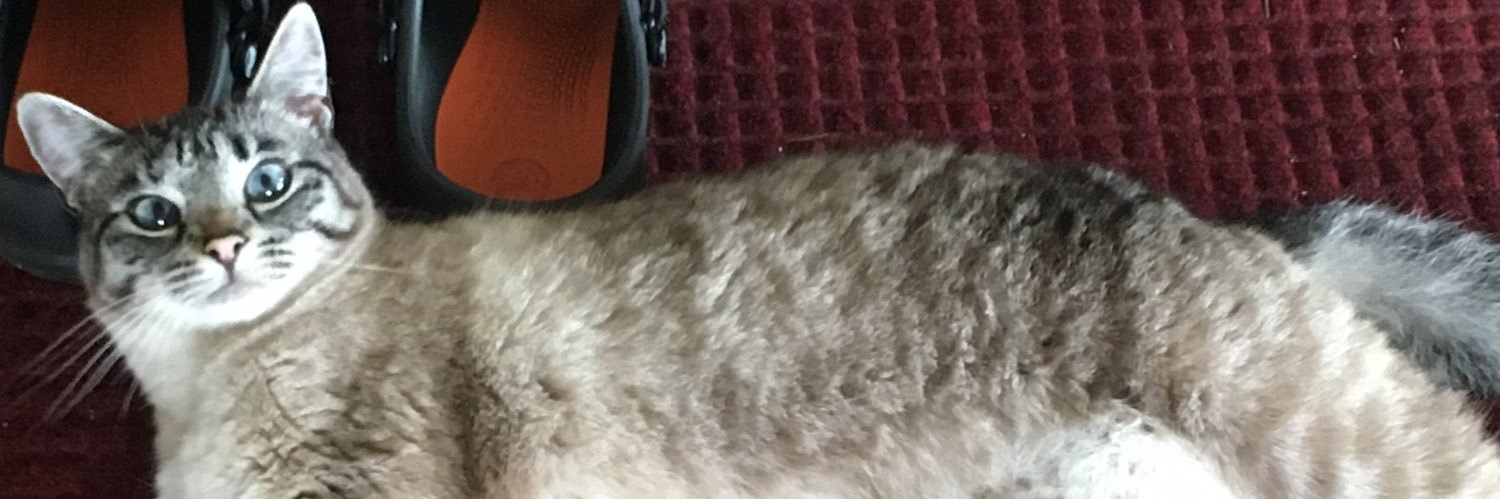 BossBrady's profile banner image