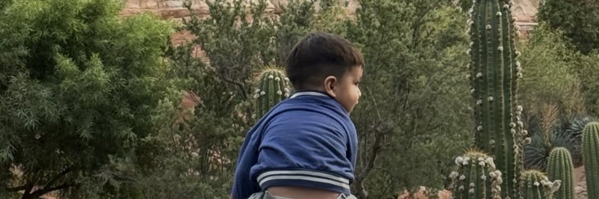 paulbravolopez's profile banner image