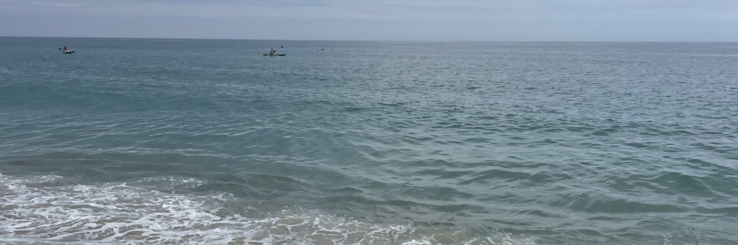grace_cardew18's profile banner image