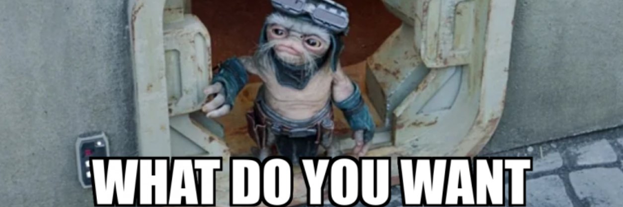 Nicole Schuman-Nibley, M.A. banner