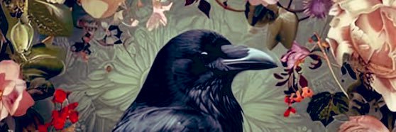 ♡𝕣ꪖꪜꫀꪀ ડ᭙ꪖꪶꪶꪮ᭙ડ♡ banner