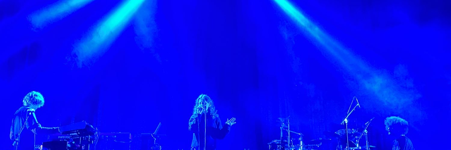 Anneli Drecker banner