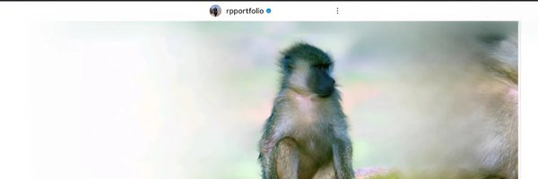 MaymoonMast Profile Banner