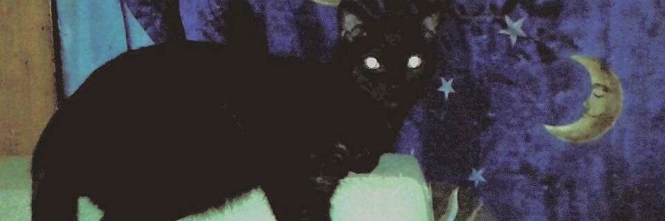 C banner