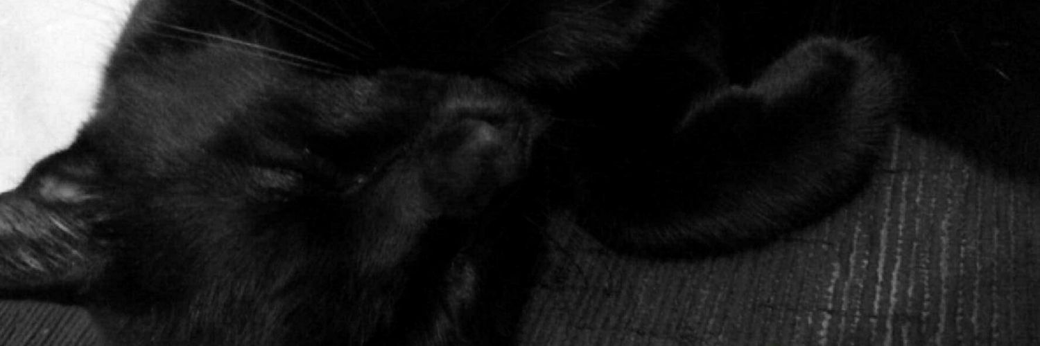 balisboa_'s profile banner image