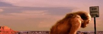moe_sapiens's profile banner image