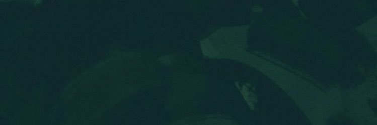 romochick98's profile banner image