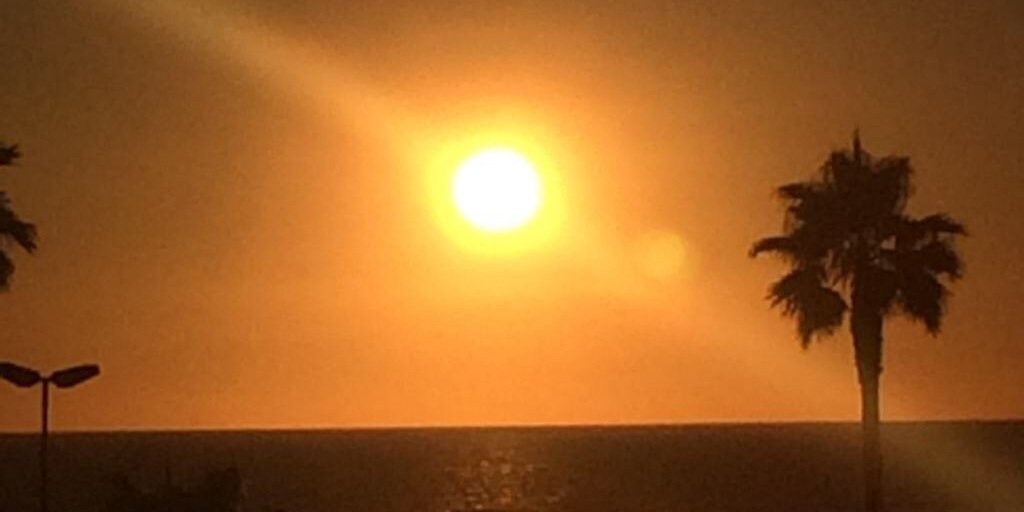 isasevi's profile banner image