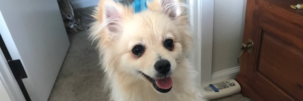 EstefaniBug's profile banner image