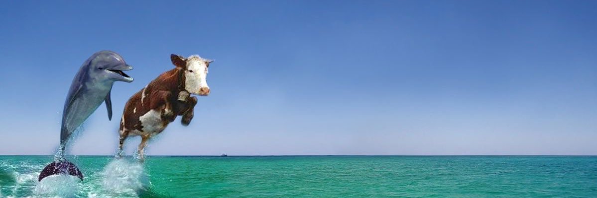 f banner