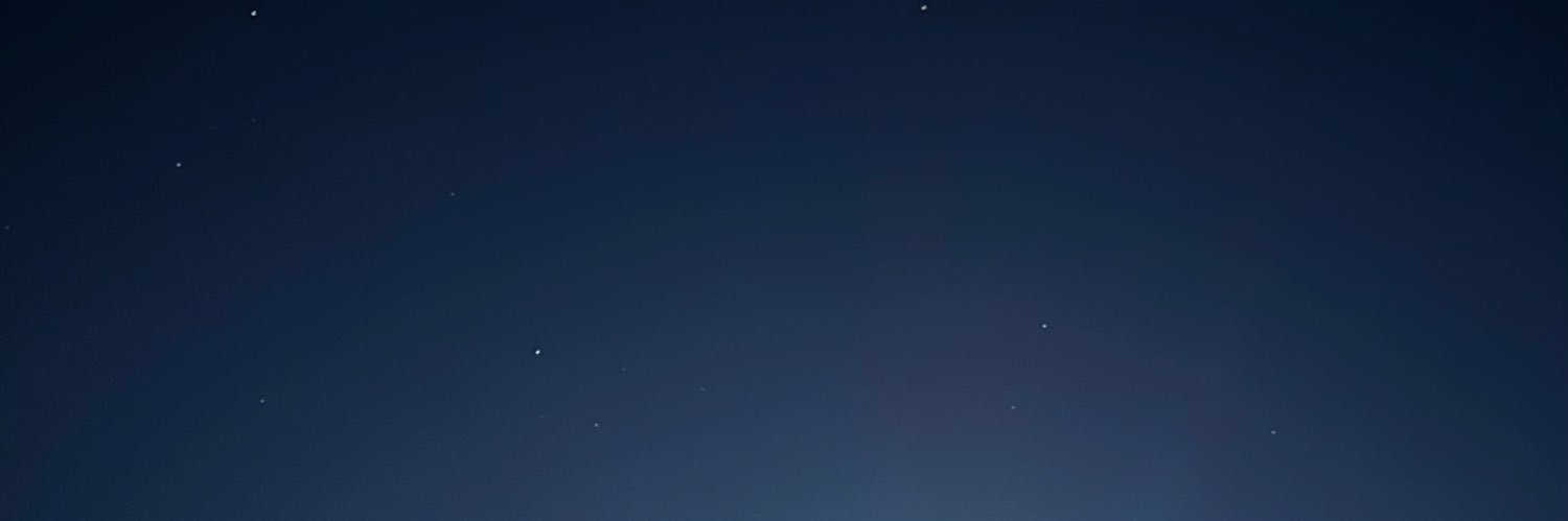 Sarah banner