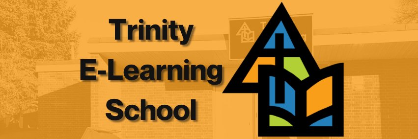 Trinity E-Learning School banner