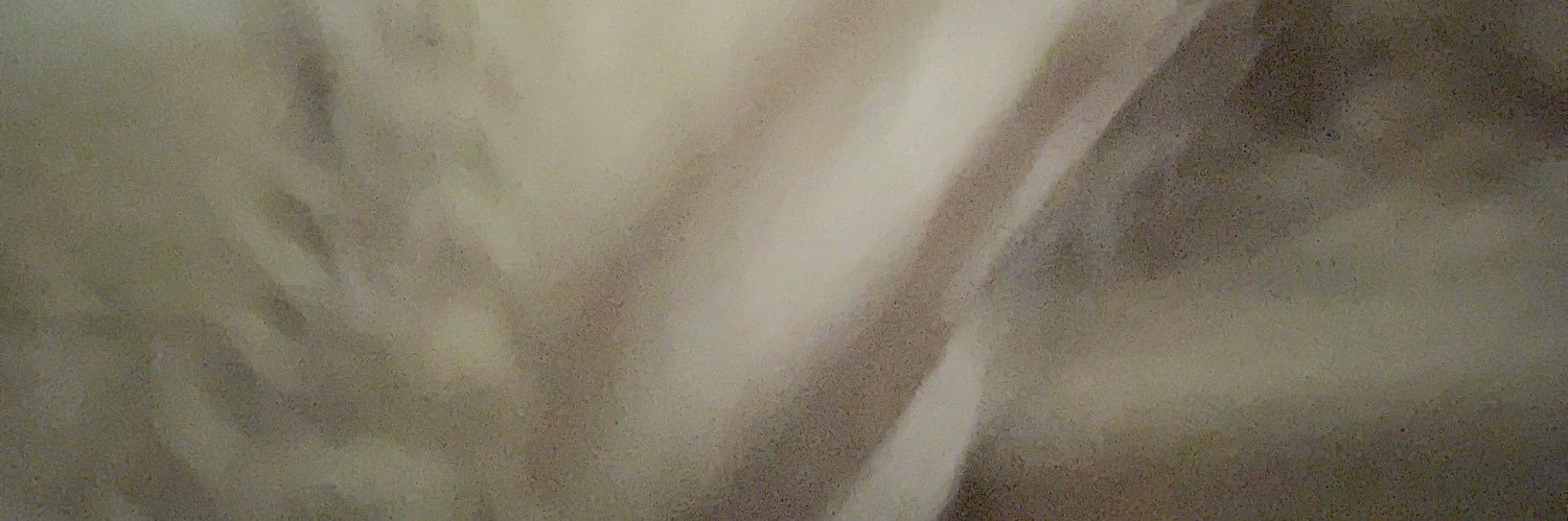 _xx1237's profile banner image
