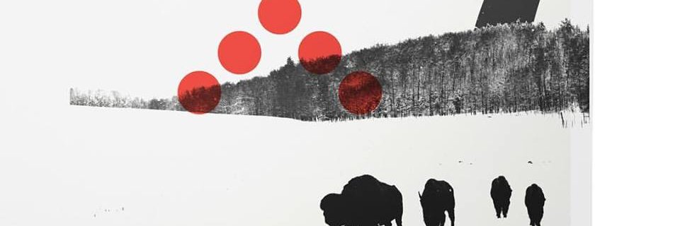 Magnetic North banner