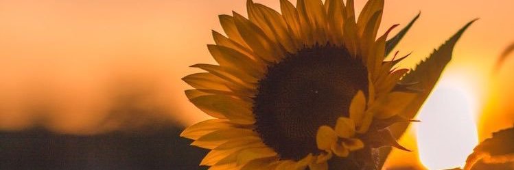 kahasst28's profile banner image