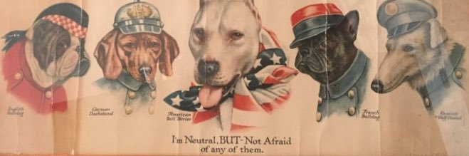 Sandbagger 🏴 banner