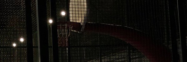 ackswann Profile Banner