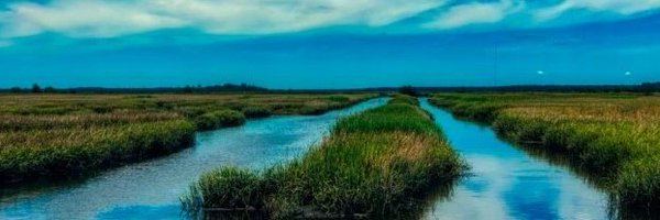 TanyaRahman02 Profile Banner