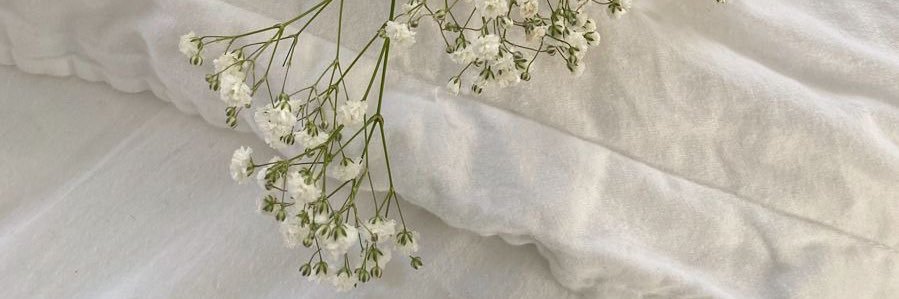 lemon +.ﾟ banner